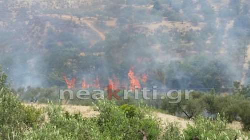 Μεγάλη πυρκαγιά σε εξέλιξη στην Κνωσό, οι φλόγες πλησιάζουν σπίτια