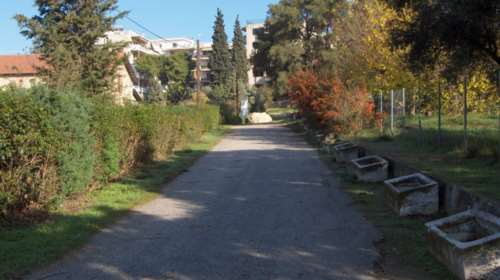 Πυρκαγιά κοντά στο δάσος Συγγρού στο Μαρούσι