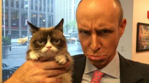 Και οι γάτες (!) στην προεκλογική μάχη για το Brexit μέσω twitter