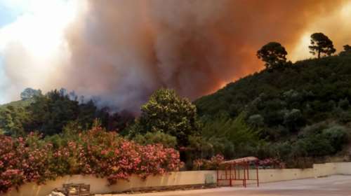 Σε εξέλιξη πυρκαγιά κοντά σε σπίτια στη Χαλκιδική