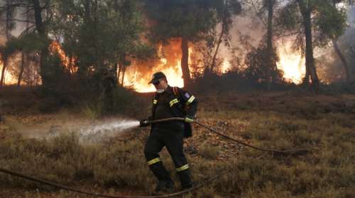 Μαίνεται η φωτιά στη Βοιωτία, έπεσε καναντέρ