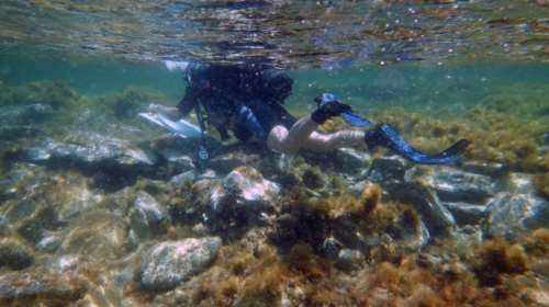 Ενας αρχαίος θησαυρός στον βυθό της Δήλου- Εικόνες