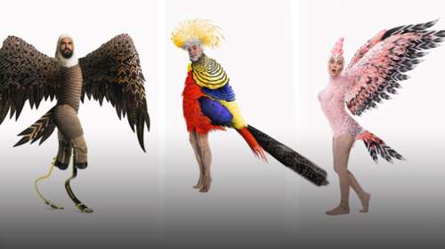 Όρνιθες στην Επίδαυρο: Όλοι μπορούμε να πετάξουμε