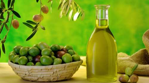 Αποκωδικοποιήθηκε το DNA της ελιάς