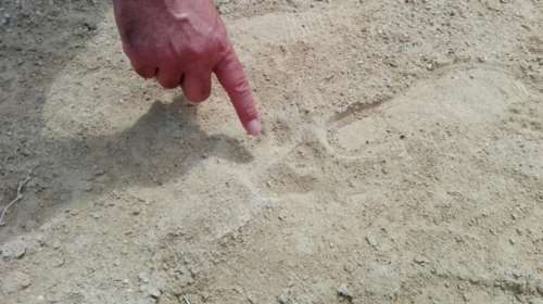 Αυτό είναι το αποτύπωμα του «θηρίου της Κρήτης»