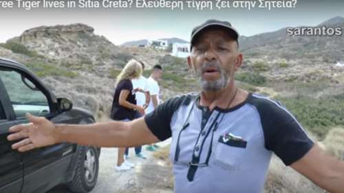 Αυτόπτες μάρτυρες περιγράφουν την «τίγρη» της Κρήτης- VIDEO