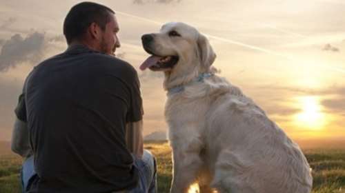 Δεν είναι ο σκύλος; Ποιος είναι ο καλύτερος φίλος του ανθρώπου-Νέα έρευνα