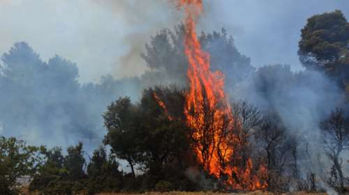 Υπο μερικό έλεγχο πυρκαγιά στην Ναυπακτία