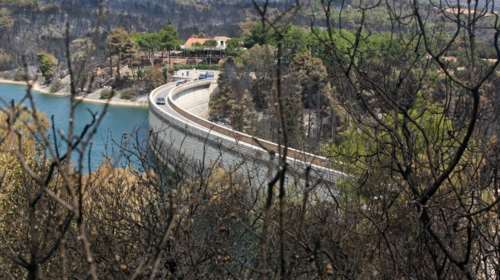 Πυρκαγιά στη Λίμνη Μαραθώνα, επιχειρούν ισχυρές δυνάμεις της πυροσβεστικής