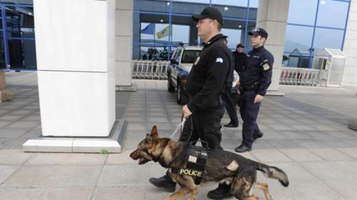 «Προσλαμβάνουν» σκύλους για τον εντοπισμό μετρητών!