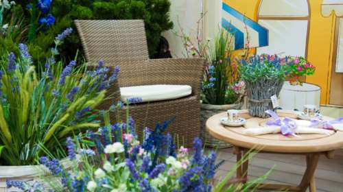 Τα φυτικά...όπλα που σας γλιτώνουν από τα κουνούπια!