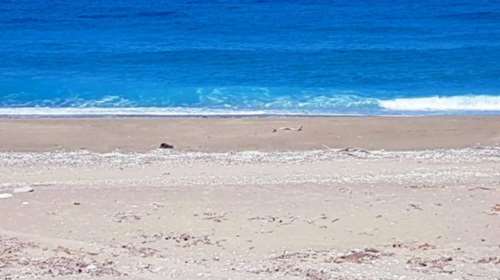 Καταγγελία- σοκ: Βίασε τη σύζυγό του σε παραλία στο Μεσολόγγι!