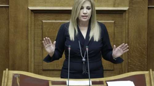 Φώφη: Ολα να διερευνηθούν από Βουλή και δικαιοσύνη