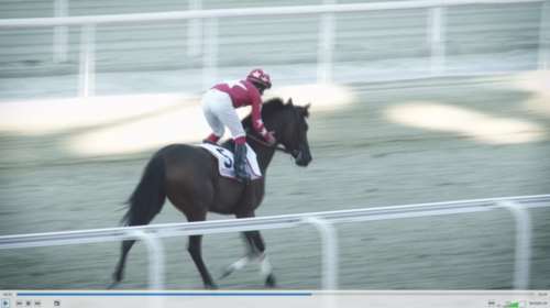 Άρωμα Άσκοτ στο Μαρκόπουλο από τον ΟΠΑΠ