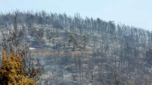 Σε κατάσταση έκτακτης ανάγκης η Λίμνη Ευβοίας