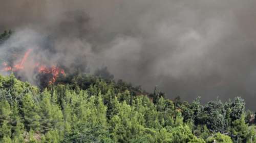 Σε ύφεση η φωτιά στη Λίμνη Ευβοίας, στάχτη χιλιάδες στρέμματα δάσους