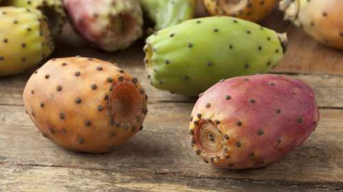 Πώς τα φραγκόσυκα μειώνουν την ένταση των συμπτωμάτων της μέθης