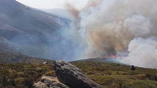Φωτιά στην περιοχή Πόρτο Λάφια της Καρύστου δείτε video