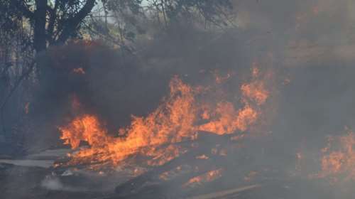 Υπό έλεγχο η φωτιά στην Προσύμνα Άργους