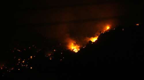 Πυρκαγιά σε δασική έκταση στο Μαντούδι Ευβοίας