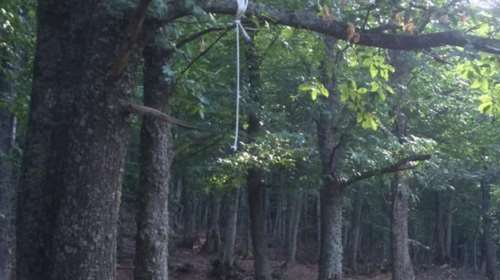 38χρονος βρέθηκε κρεμασμένος σε δάσος στη Θεσσαλονίκη