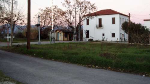 Τη χτύπησε ΙΧ, σηκώθηκε, πήγε σπίτι της και πέθανε