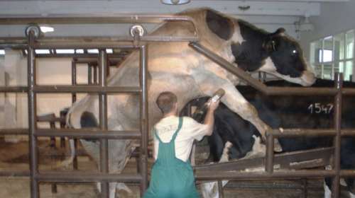 Δημόσιοι υπάλληλοι σαπουνοποιοί &amp; σπερματεγχύτες!