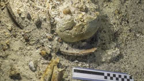 Συγκλονιστικό εύρημα στο Ναυάγιο των Αντικυθήρων,βρέθηκε κρανίο και οστά