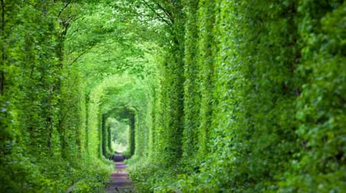 Το μυστικό Τούνελ της Αγάπης: Μια καλά κρυμμένη «Φοντάνα ντι Τρέβι»