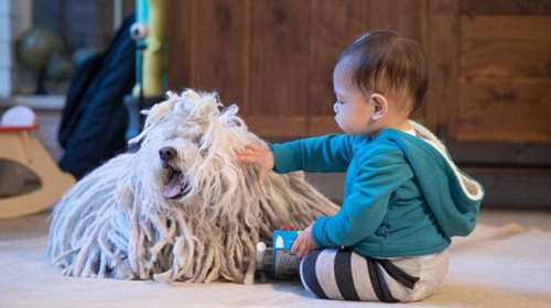 Η Μαξ παίζει με το «Τέρας» και ο Ζούκεμπεργκ φωτογραφίζει....