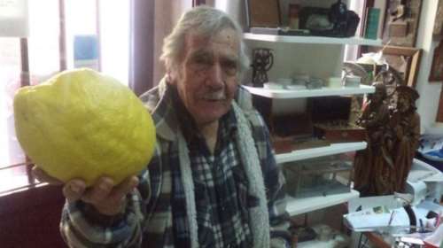 Λεμόνι «γίγας» 1.150 γρ στη Χίο!