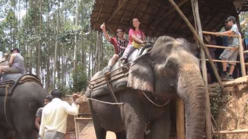 Απαγορεύονται διά νόμου βόλτες με ελέφαντες στην Ινδία