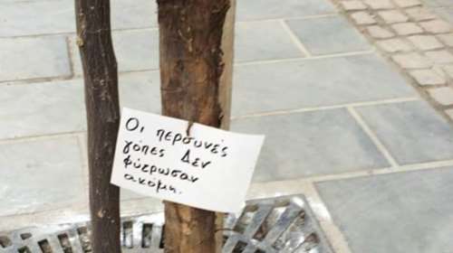 Το φαρμακερό μήνυμα για τις «γόπες»  στα δέντρα