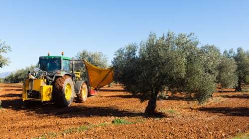 Τραγωδία στο Ρέθυμνο:Την πάτησε το αγροτικό του πατέρα της ενώ μάζευε ελιές