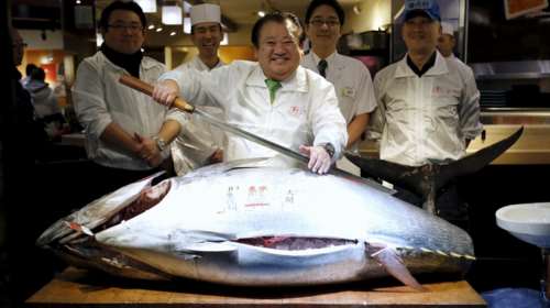 Μπλε τόνος 200 κιλών δημοπρατήθηκε για 117 χιλιάδες δολάρια