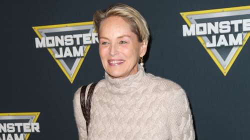 Η εμφάνιση της 57χρονης Σάρον Στόουν που αποθεώθηκε