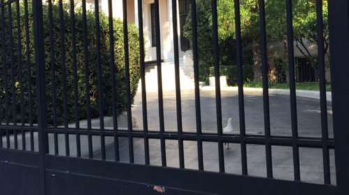 Τσίπρας: Δηλαδή τώρα αποκτήσαμε και κατοικίδιο