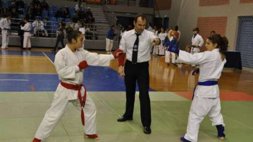 Η Μητρόπολη Γλυφάδας «αφορίζει» το ζίου ζίτσου και το καράτε