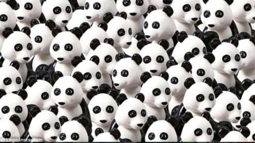 Βρήκατε το αρκουδάκι πάντα, τώρα βρείτε το σκύλο