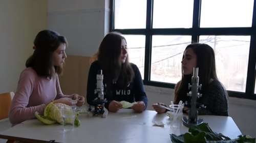 Δημοτικά από ελληνικά χωριά σάρωσαν διεθνή διαγωνισμό