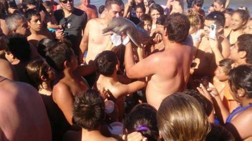 Κτηνωδία: «Σκότωσαν» δελφίνι για να βγάλουν selfie