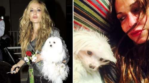 Η Βανίλια μου κοιμήθηκε για πάντα: Η Αννα Βίσση αποχαιρετά τη σκυλίτσα της