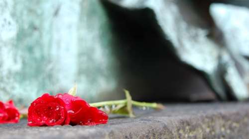 Σοκ στα Τρίκαλα: Νεαρή φοιτήτρια γλίστρησε στο μπάνιο και σκοτώθηκε