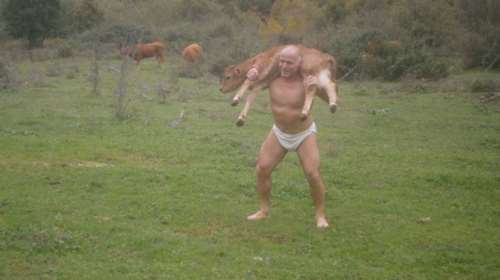 Τρίκαλα: Πρωταθλητής ελληνορωμαϊκής κακοποιεί μοσχάρια-Δείτε το βίντεο