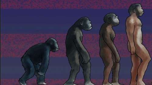 Το σκίτσο-σχόλιο του Αρκά για τη νίκη του Τραμπ