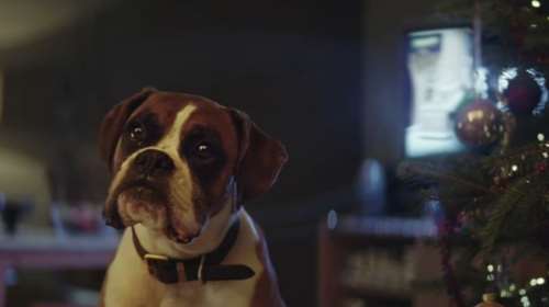 Η νέα διαφήμιση του John Lewis: Αυτά τα Χριστούγεννα να μην κλάψει κανείς