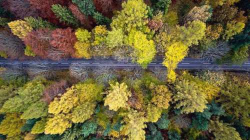 Aυτές οι πολύχρωμες εικόνες θα σας φτιάξουν τη διάθεση
