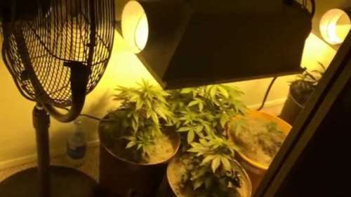 Αυτοσχέδιο εργαστήριο κάνναβης μέσα... σε ντουλάπα στην Πέλλα