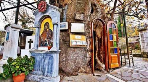 Το Εκκλησάκι της Παναγίας που βρίσκεται μέσα σε έναν τεράστιο πλάτανο