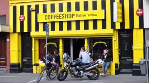 Κλείνουν ένα ένα τα περίφημα coffee shop στο Άμστερνταμ